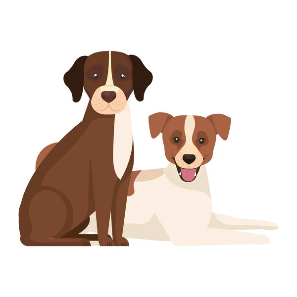 Group of dogs brown and white — 스톡 벡터