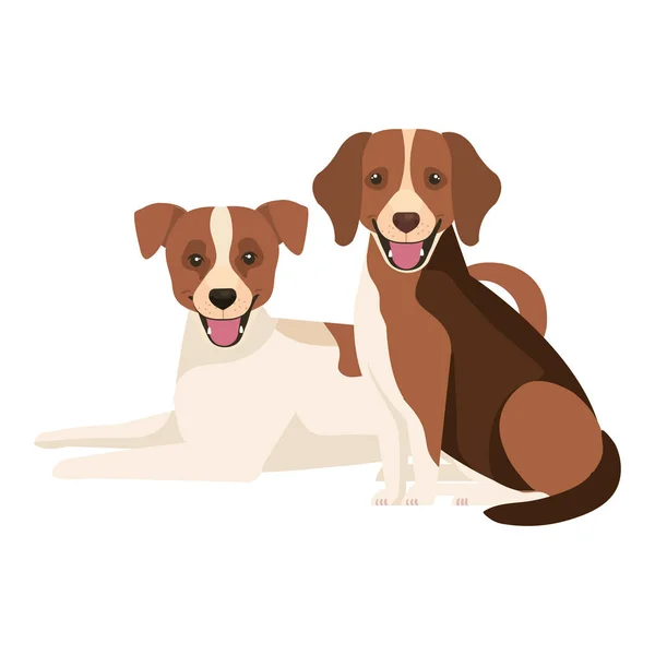 Groupe de chiens brun et blanc — Image vectorielle