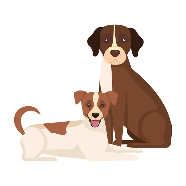 Groupe de chiens brun et blanc — Image vectorielle