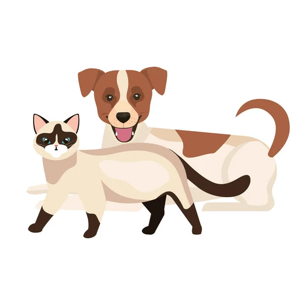 Lindo perro con gato aislado iconos — Vector de stock