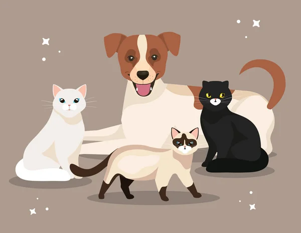 Groupe de chats mignons avec chien — Image vectorielle