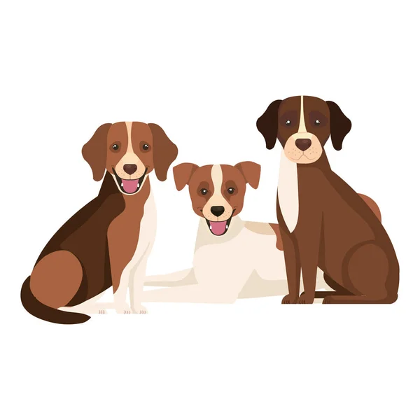 Group of dogs brown and white — Stock Vector