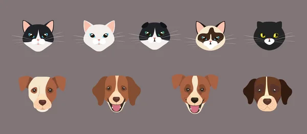 Ensemble de visages mignons de chats et de chiens — Image vectorielle