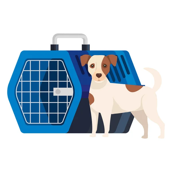 Cute dog with pet carry box — Stockvector