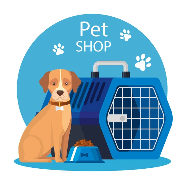 Pet shop with dog and carry box pet — Stok Vektör