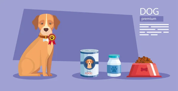 Cão e alimentos premium e garrafa medicina — Vetor de Stock