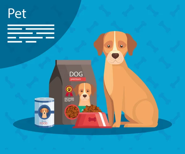 Dierenwinkel met hond en iconen — Stockvector