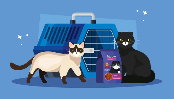 Cats with food in bag and pet carry box — 스톡 벡터