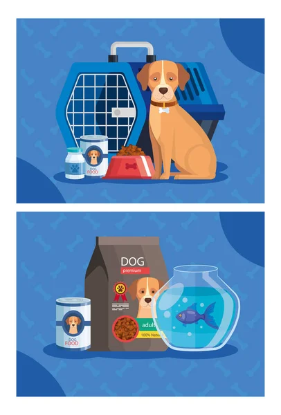 Set póster de tienda de mascotas con iconos — Vector de stock