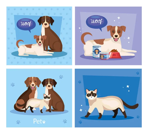 Set poster of cute cats with dogs and icons — Stockvector