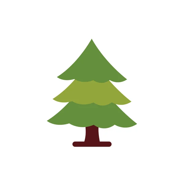 Fenyőfa növény természet lapos stílus ikon — Stock Vector