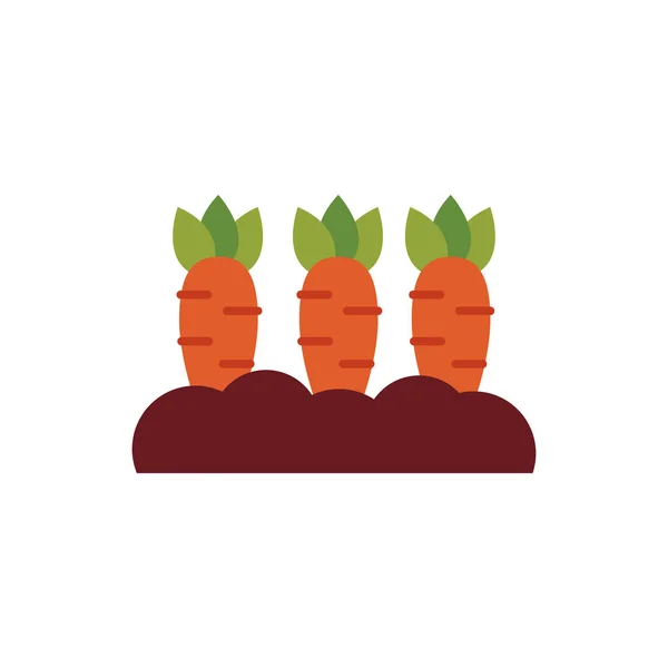 Свежая морковь овощи плоский стиль — стоковый вектор
