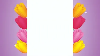 beautifull roses flowers square frame animation