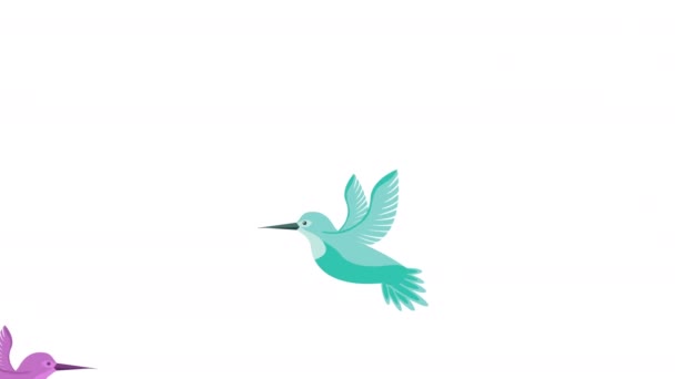 Beautifull birds flying animals animation — Wideo stockowe