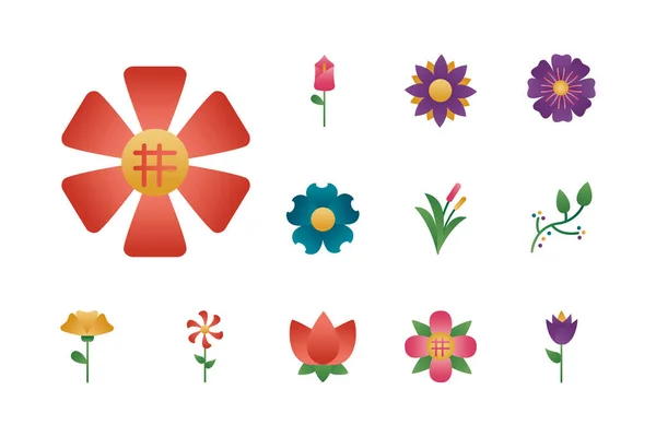 Bundel bloemen degradiënt stijl pictogrammen — Stockvector