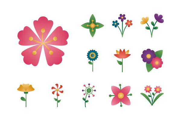 Bundel bloemen degradiënt stijl pictogrammen — Stockvector