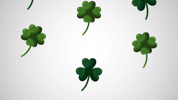 St patricks day animated card with clovers leafs — 图库视频影像