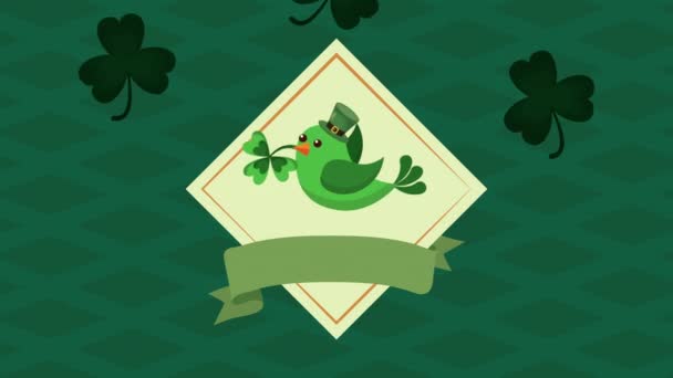 St patricks day animated card with bird and clovers — 图库视频影像