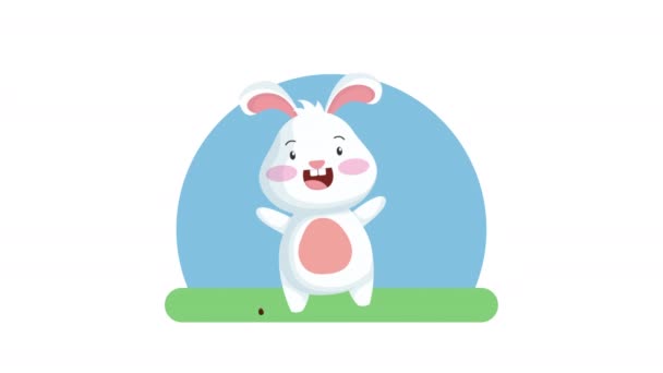Happy easter animated card with cute rabbit and eggs painted — 图库视频影像