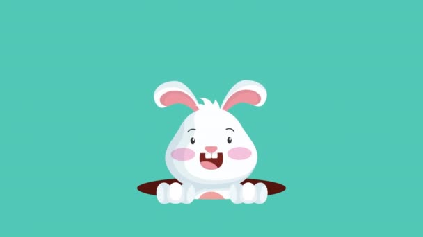 Happy easter animated card with cute rabbit and flowers — Stok video