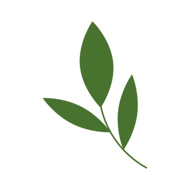 ecology branch with leafs isolated icon