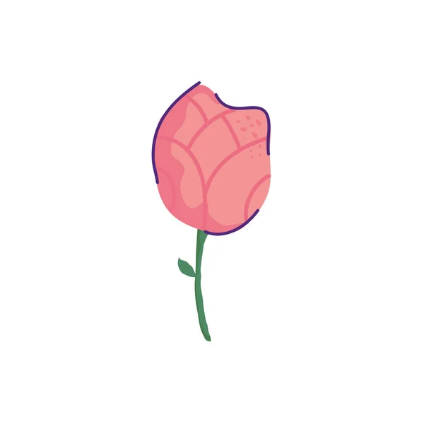 可爱的玫瑰自然孤零零的象征 — 图库矢量图片