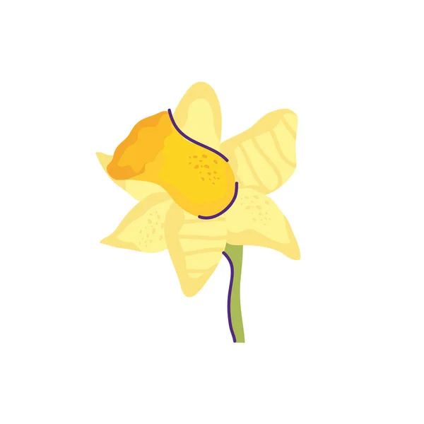 Niedliche Blume Natur isoliert Symbol — Stockvektor