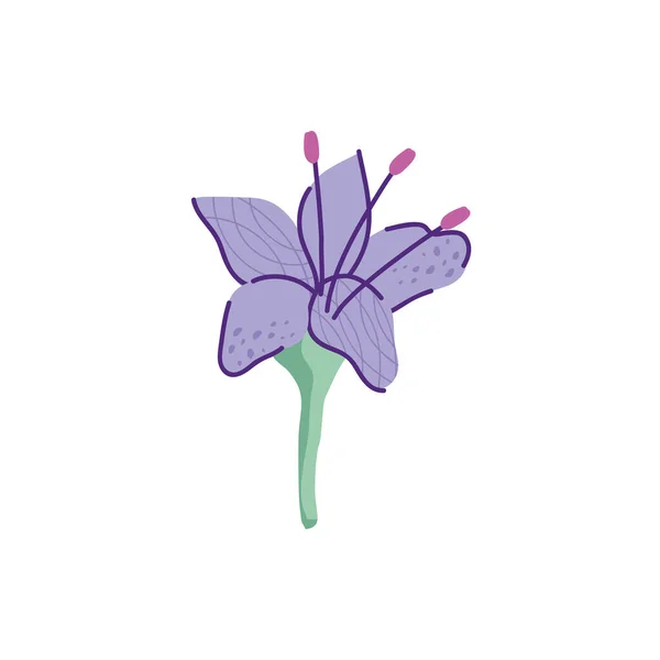 Şirin sardunya çiçeği doğa izole ikonu — Stok Vektör