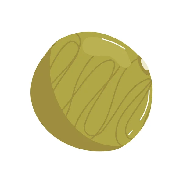 Semilla de oliva fresca icono aislado — Vector de stock