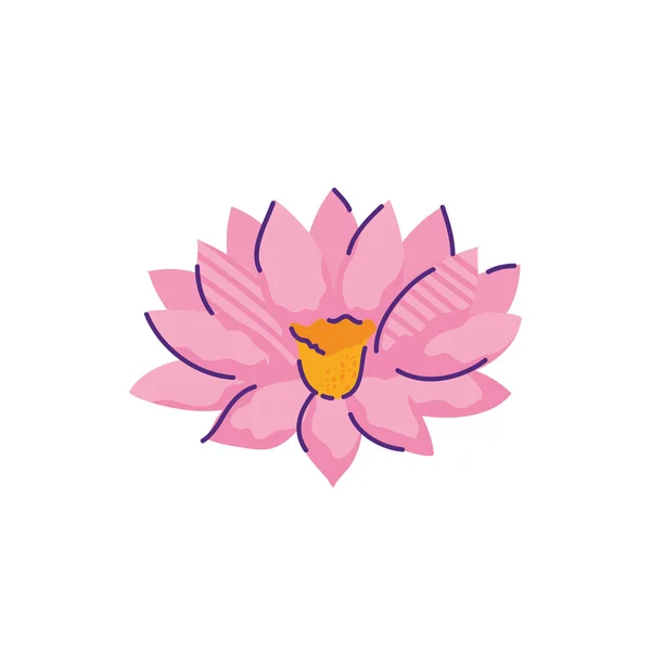 Roztomilý květinový lotos příroda izolované ikona — Stockový vektor