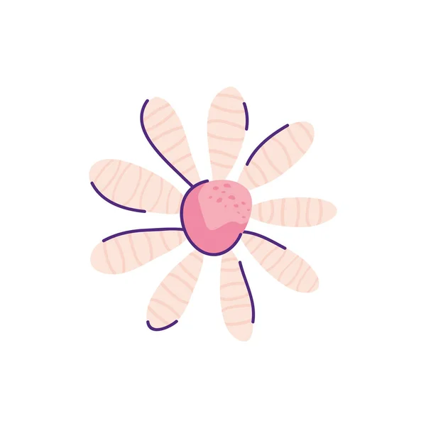 Niedlich Gänseblümchen Blume Natur isoliert Symbol — Stockvektor