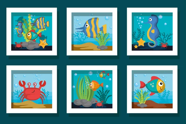 Disegni fascio di icone della vita marina carino — Vettoriale Stock