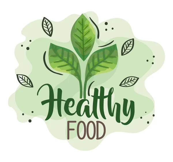 Cartel de alimentos saludables con hojas naturaleza — Vector de stock