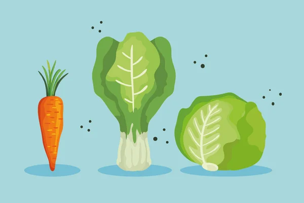 一套新鲜健康的蔬菜 — 图库矢量图片