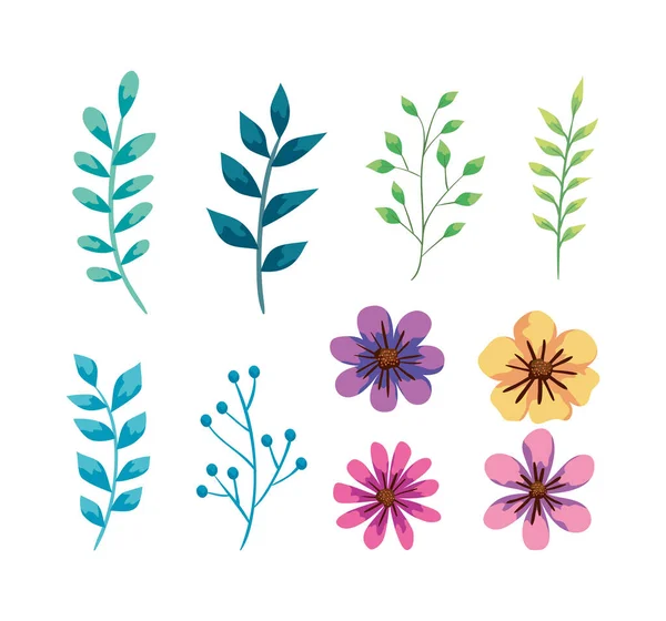 Sada roztomilých květin a listů — Stockový vektor