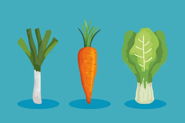 Set von frischem und gesundem Gemüse — Stockvektor