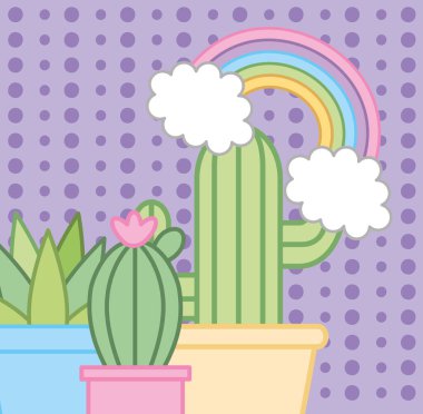 cactus plants and rainbow kawaii style