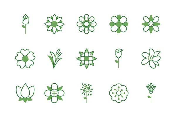 Bundle of flowers half color style icons — Stock vektor