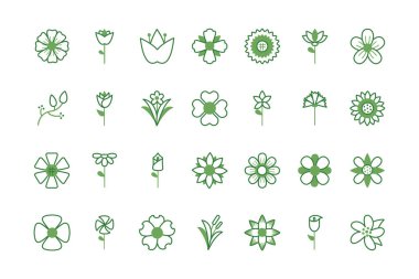 bundle of flowers half color style icons