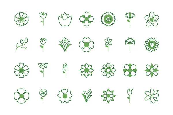 Bundle of flowers half color style icons — Stock Vector