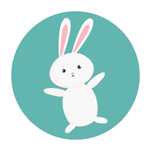 Dairesel çerçevede sevimli bir tavşan. — Stok Vektör
