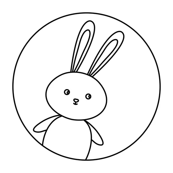 Animal coelho bonito no quadro circular — Vetor de Stock