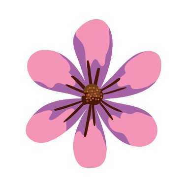 Şirin çiçek doğa izole edilmiş ikon