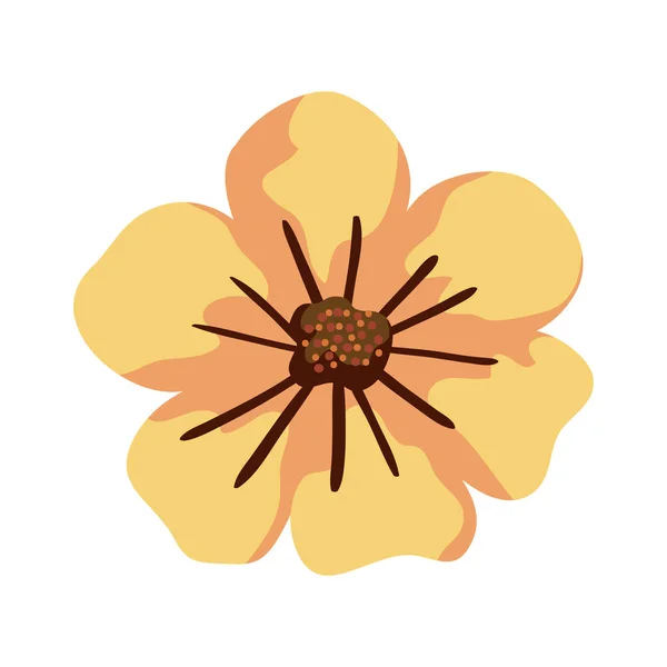Roztomilý květina příroda izolované ikony — Stockový vektor