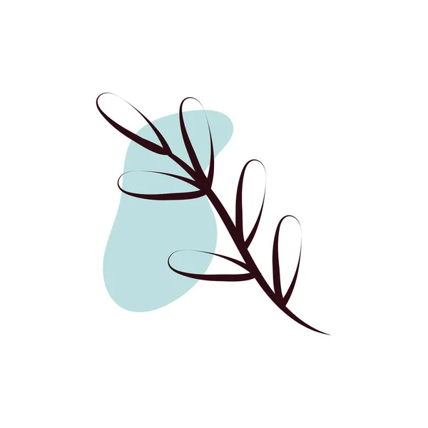 Branch with leafs hand draw style — Stock vektor