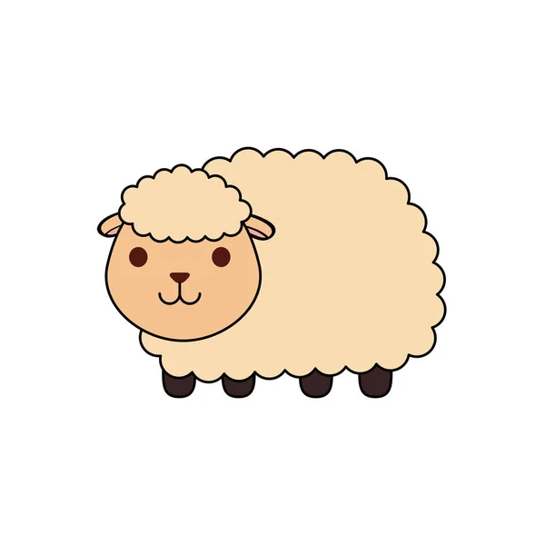Fazenda de ovelhas bonito caráter animal —  Vetores de Stock