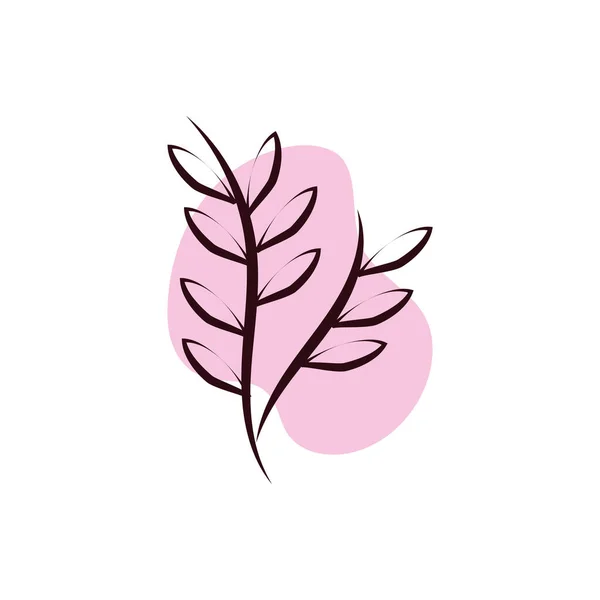 Branch with leafs hand draw style — ストックベクタ