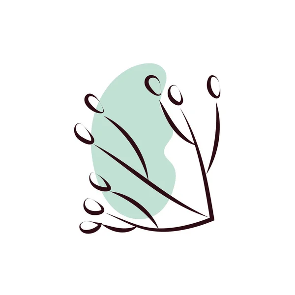 Branche avec graines style dessin à la main — Image vectorielle