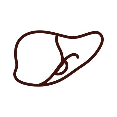 liver human organ line style