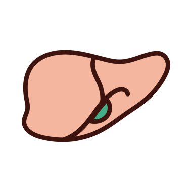 liver human organ line and fill style